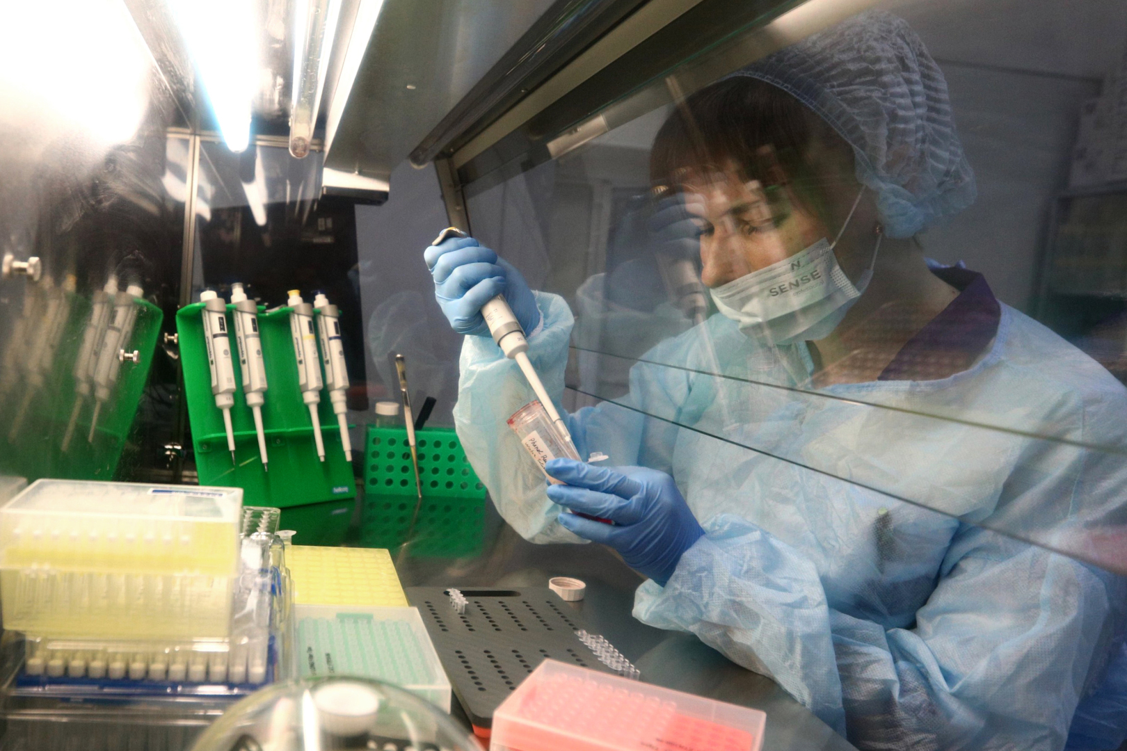 ⚡Эпидемия распространится на Россию? ВОЗ предупредил об заболевании оспы обезьян