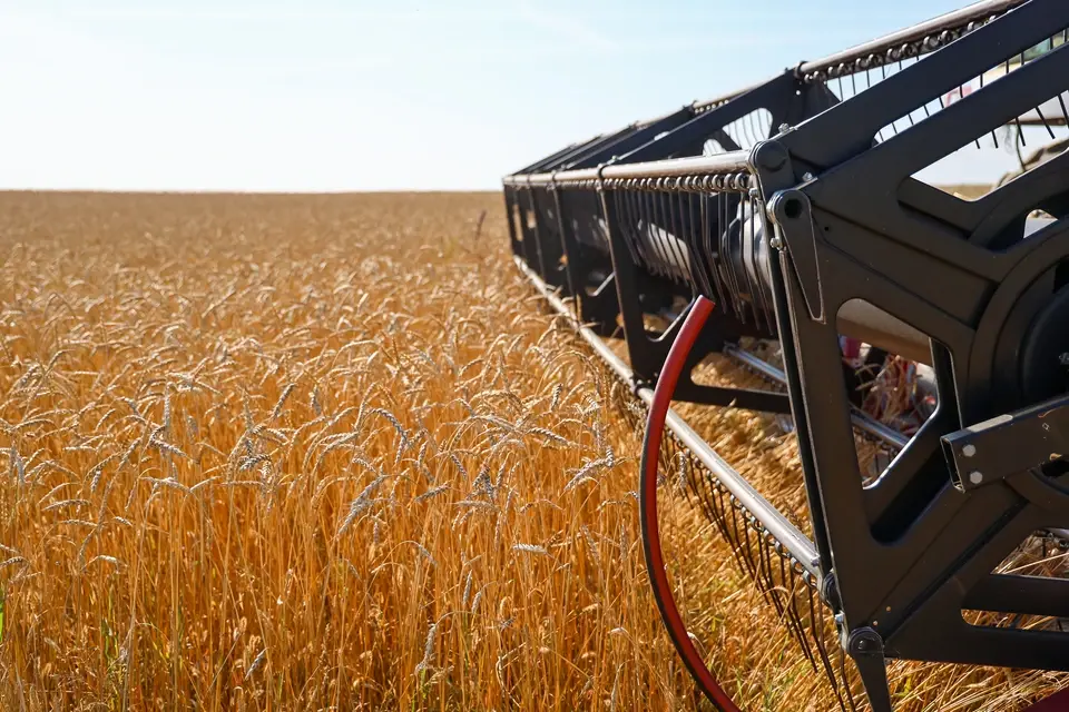 Весенние заморозки нанесли Ростовской области ущерб в 5 млрд рублей, уничтожив миллион гектаров посевов