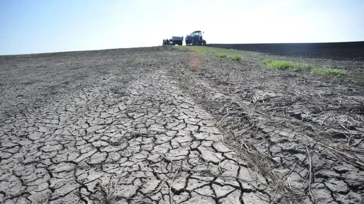 Весенние заморозки нанесли Ростовской области ущерб в 5 млрд рублей, уничтожив миллион гектаров посевов