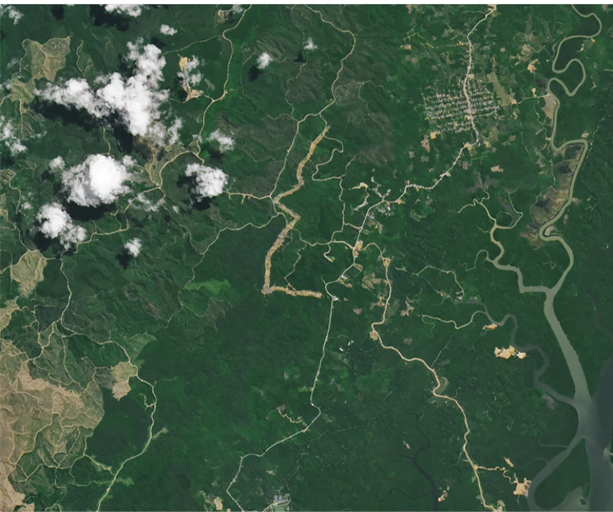 Почему Индонезия перенесла свою столицу в джунгли за сотни миль