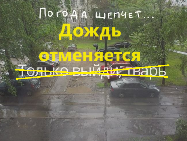 О прогнозе погоды до конца лета. Жара