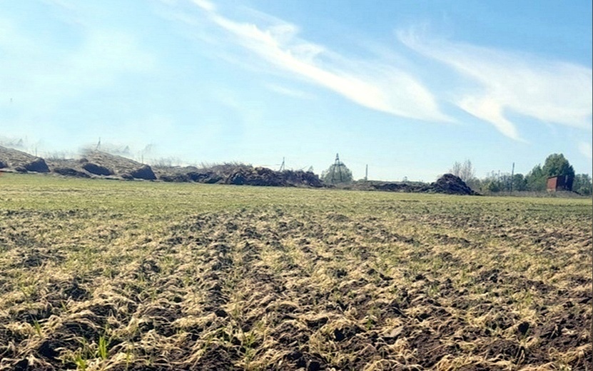 Весенние заморозки нанесли Ростовской области ущерб в 5 млрд рублей, уничтожив миллион гектаров посевов