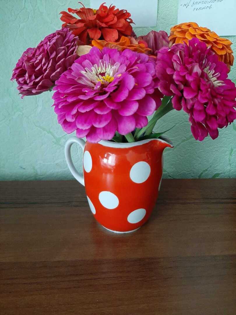 Используем старую посуду