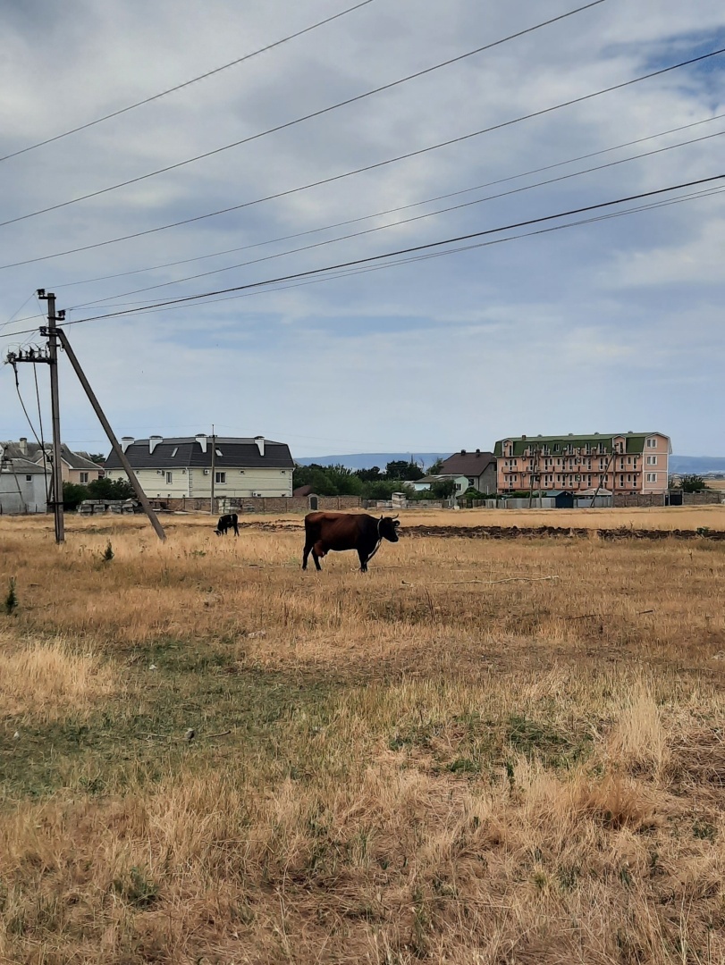 Отдых Крыму 2024. От печали до радости. Все подробности в статье