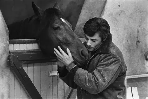 Рядом с домом. Ален Делон будет похоронен в часовне рядом с его 35 собаками