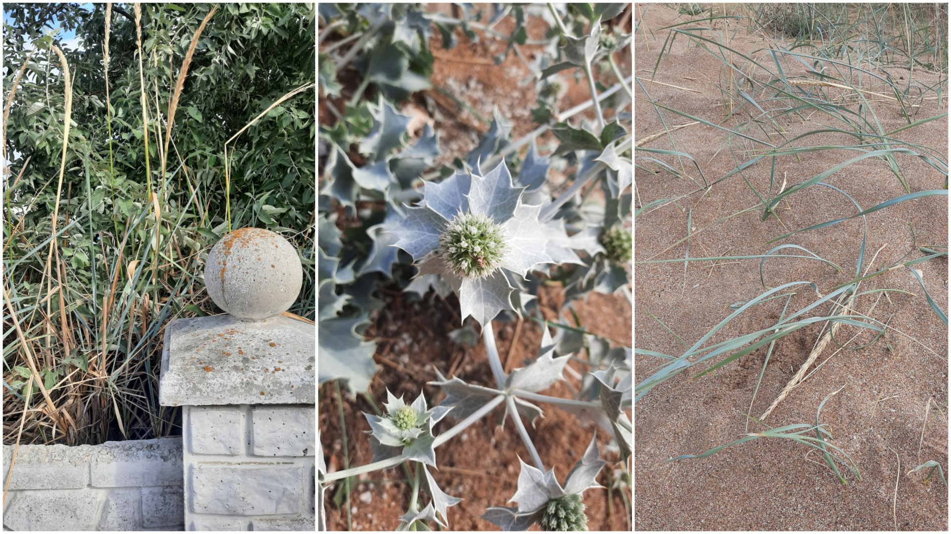 Отдых Крыму 2024. От печали до радости. Все подробности в статье