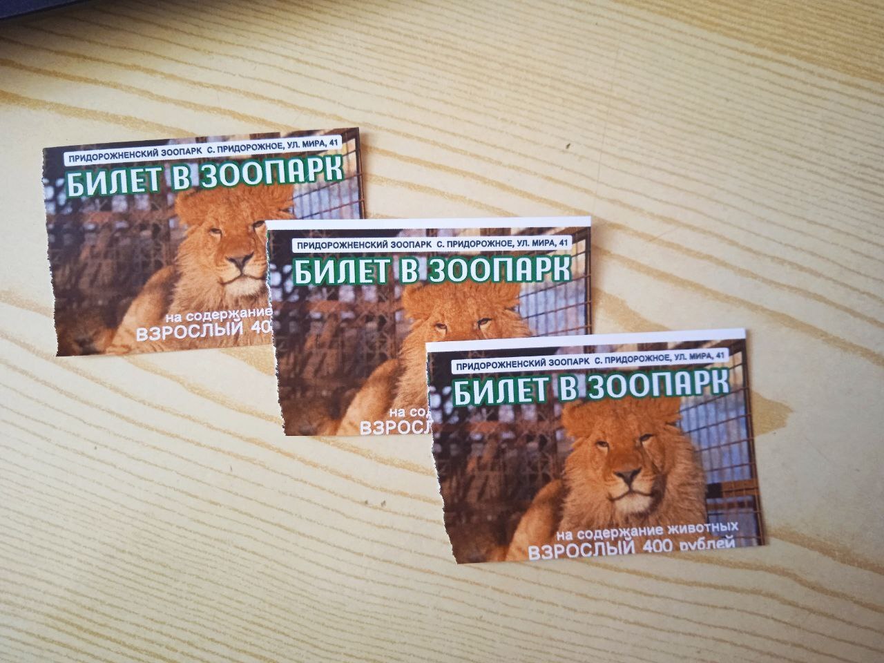 Наша увлекательная прогулка по зоопарку в селе Придорожное (ДНР)! Отвлеклись от шума и суеты! Мы в восторге!