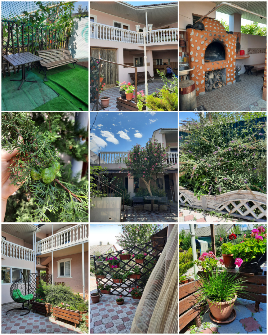 Отдых Крыму 2024. От печали до радости. Все подробности в статье