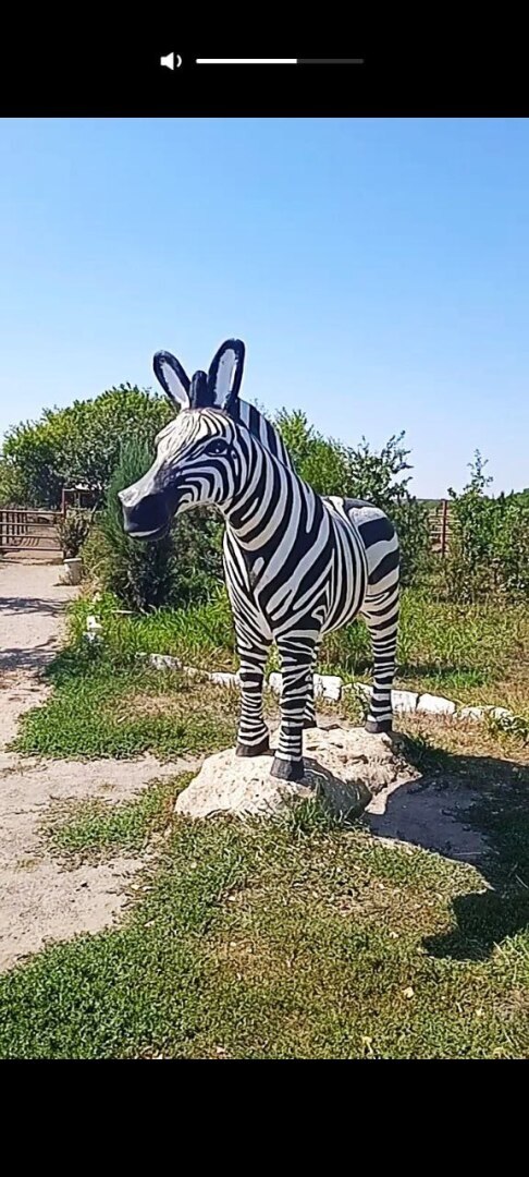 Наша увлекательная прогулка по зоопарку в селе Придорожное (ДНР)! Отвлеклись от шума и суеты! Мы в восторге!