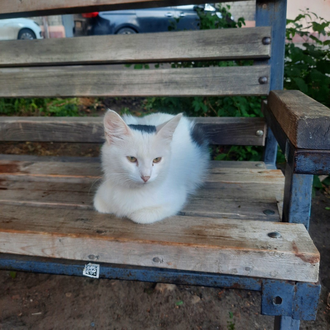 Вайб уходящего лета моими глазами.