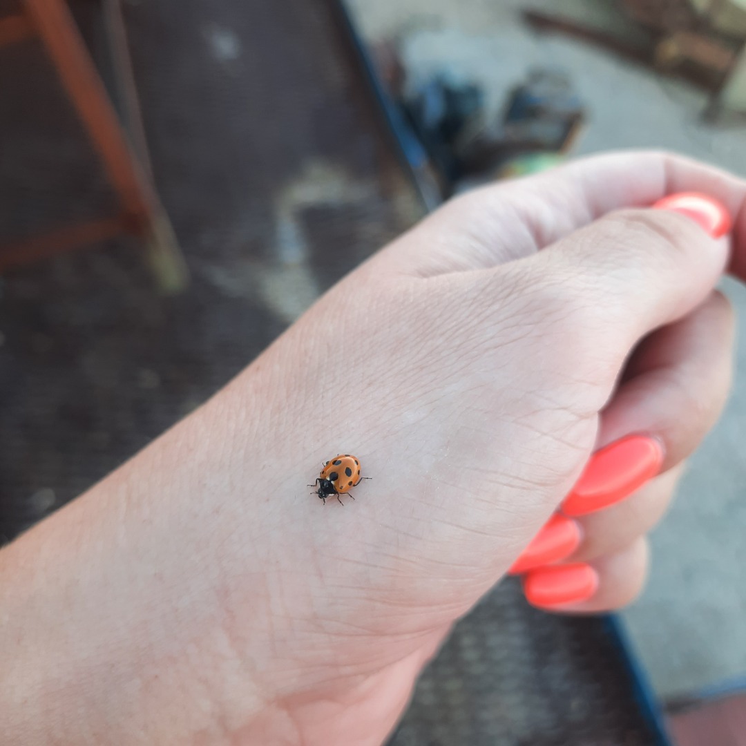 Вайб уходящего лета моими глазами.