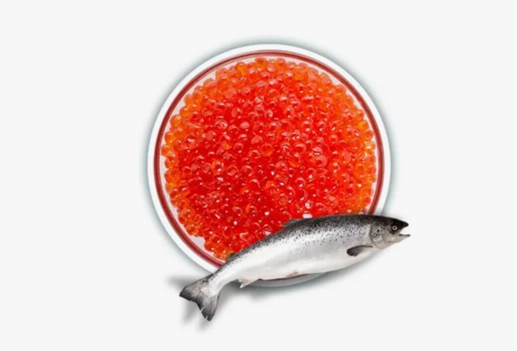 Вице-премьер Патрушев сообщил, что нет предпосылок для подорожания красной икры и рыбы к Новому году. Поверим ему?