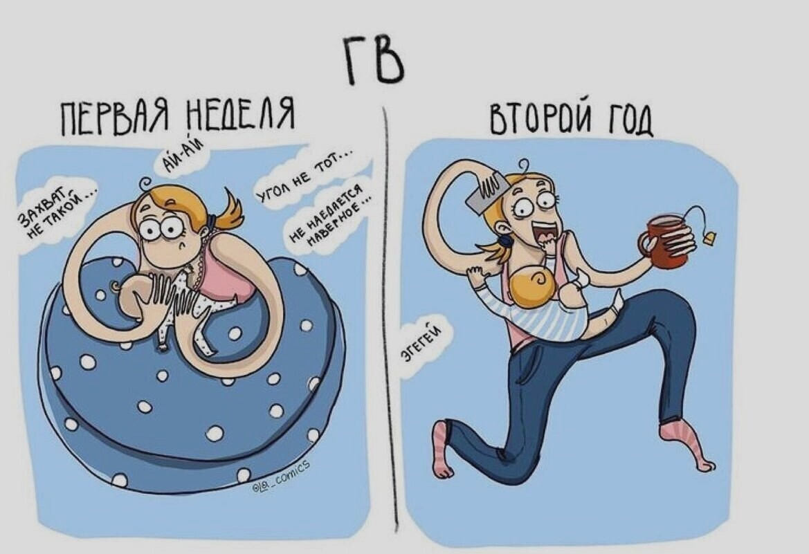 Полынь для отлучения от ГВ: ожидание и реальность