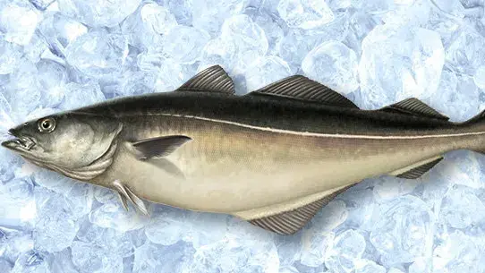 Боюсь кризиса с рыбными палочками!