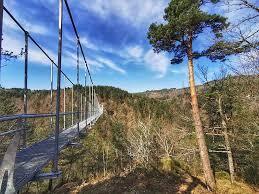 «Становится ад»: самый длинный пешеходный мост во Франции, столкнувшийся с чрезмерным туризмом, раздражает местных жителей