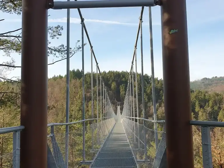 «Становится ад»: самый длинный пешеходный мост во Франции, столкнувшийся с чрезмерным туризмом, раздражает местных жителей