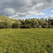 Сергей, г. Домодедово