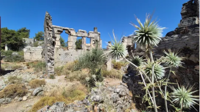 Город-призрак, который стоял пустым более века