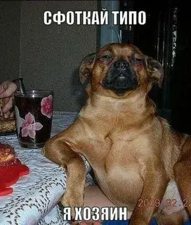 А - анекдоты. Юмора пост