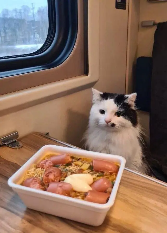 Запрет на бедность в поездах РЖД. Чем пахнет бедность?