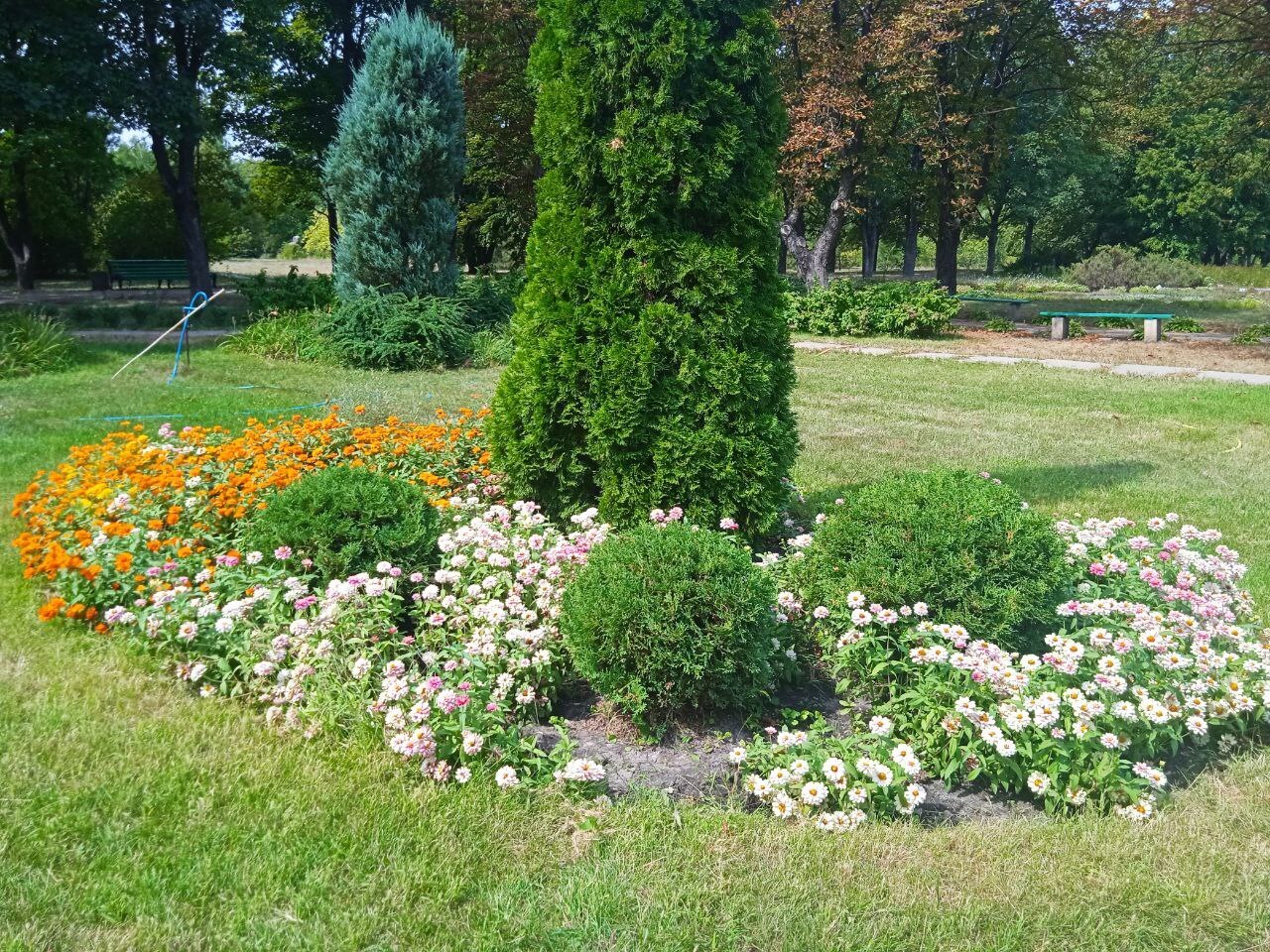 🌿🌿Травы, обладающие уникальной способностью влиять на нашу активность и сексуальную энергию! Они помогут в страстных обстоятельствах!🌿🌿