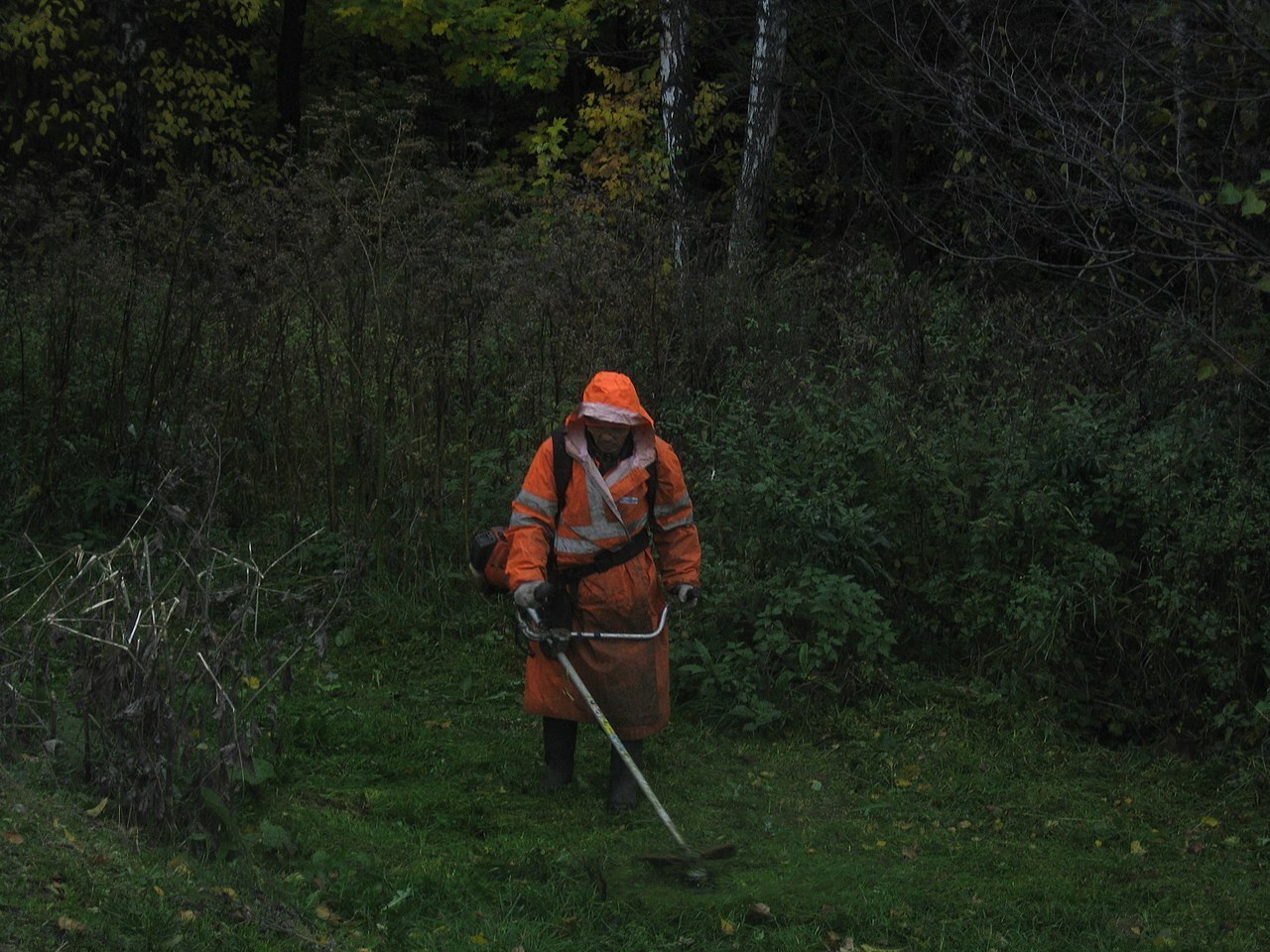 🔥⚡🔥Для чего нужен и что будет собой представлять Реестр контролируемых лиц для трудовых мигрантов с 2025 года?🔥