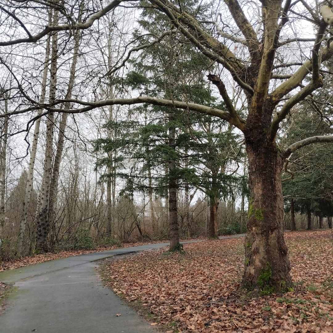 Надоело выгребать после всех! Почему хозяева сдают грязные квартиры?