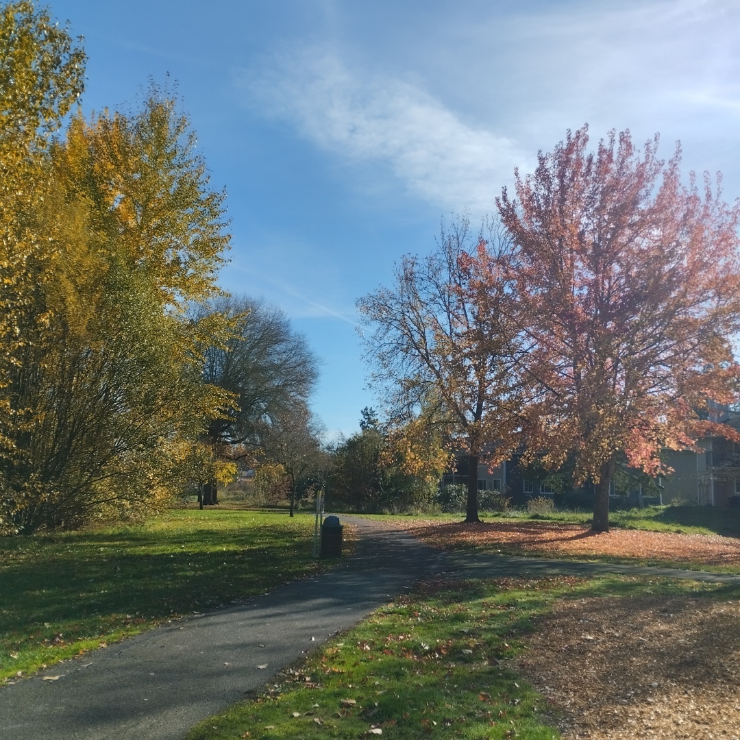 Надоело выгребать после всех! Почему хозяева сдают грязные квартиры?