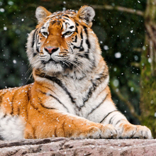 Инна, г. Луганск