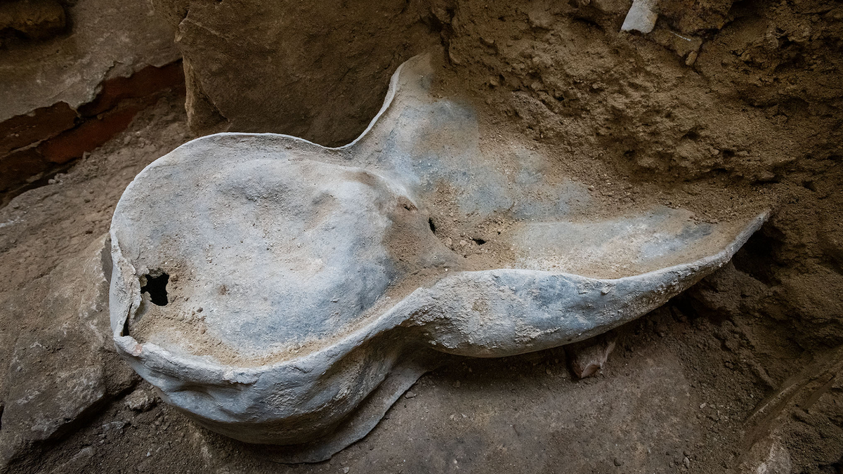 Таинственная находка в Нотр-Даме: что нашли в свинцовых саркофагах.