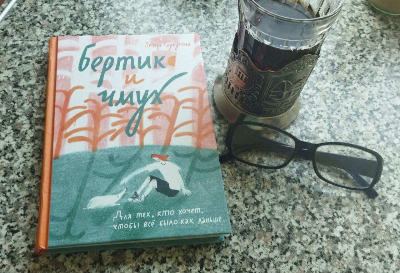 Книга «Бертик и Чмух»