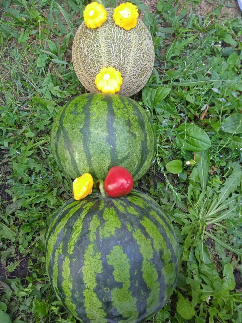 "Красота спасет мир": как мне удалось создать красивую клумбу и небольшой сад под окнами своей квартиры