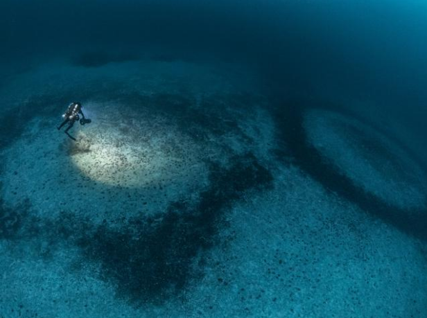 Миссия Gombessa V дайвера и специалиста по глубоководной съемке Лорана Баллесты