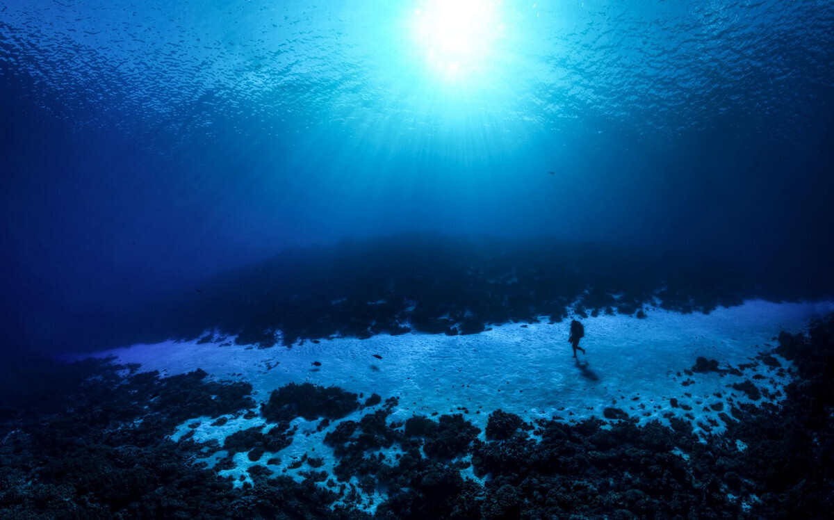 Миссия Gombessa V дайвера и специалиста по глубоководной съемке Лорана Баллесты