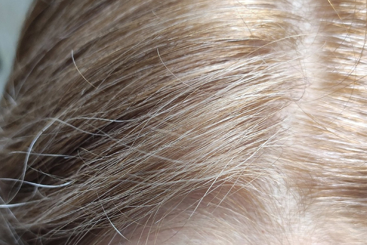 Сравниваю две бюджетные краски для волос: какая из них лучше закрасит седину?