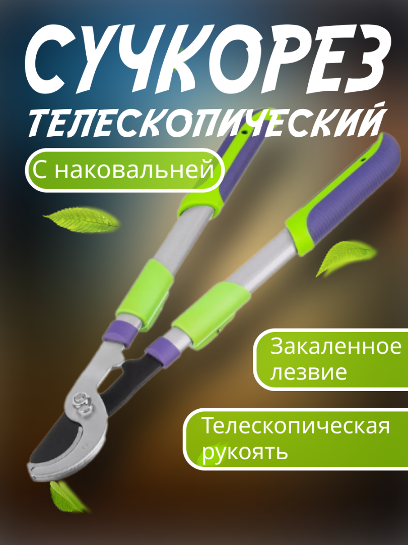 Тенденции в дизайне карточек товаров для маркетплейсов в 2024 году