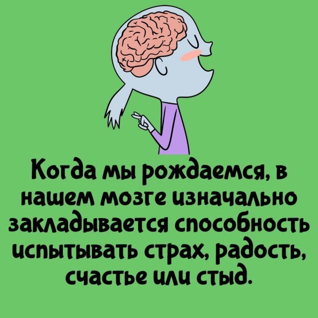 Интересные факты о разном