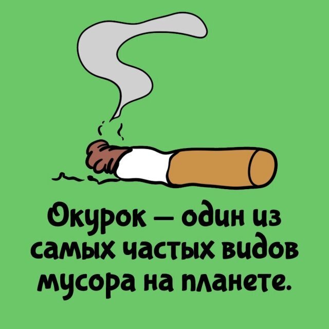 Интересные факты о разном