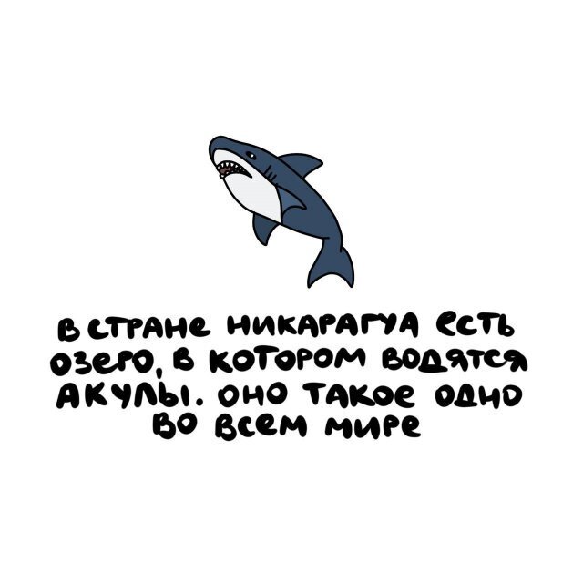 1) Интересные факты о разном