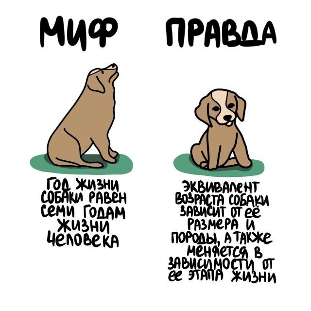 2) Интересные факты о разном