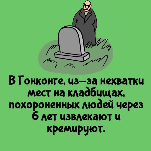 Интересные факты о разном