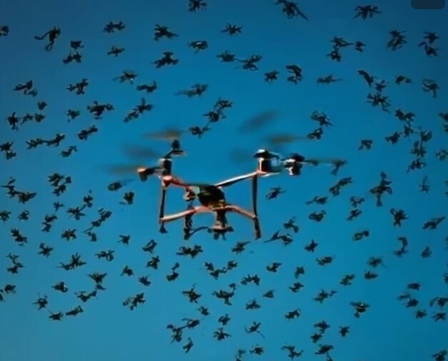 🔺Кремль комментирует мощную беспилотную атаку Украины.Пострадала женщина.💥