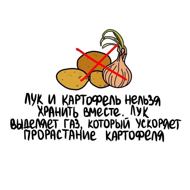 2) Интересные факты о разном