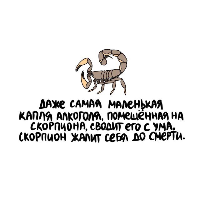 2) Интересные факты о разном