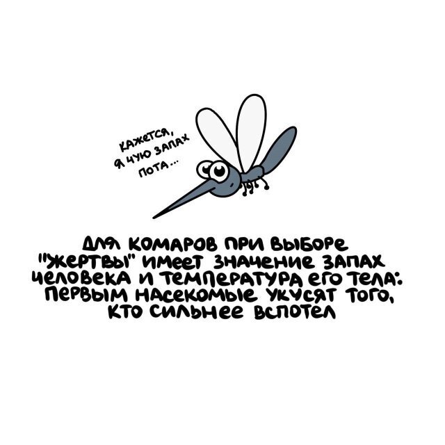 3) Интересные факты о разном