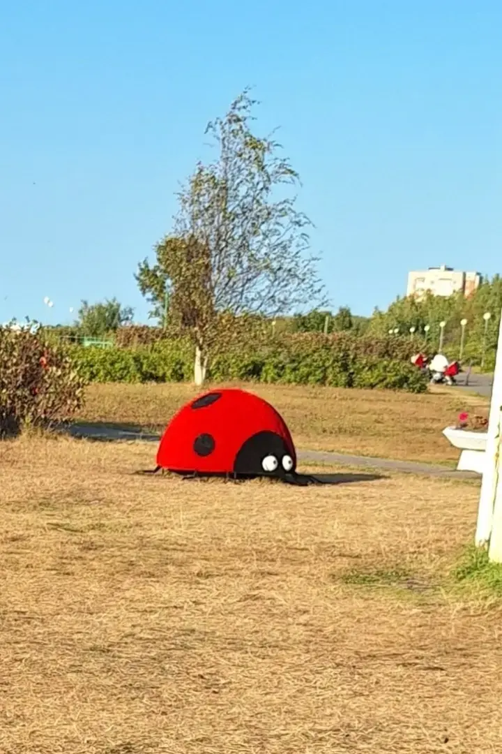 Новые арт-объекты на набережной имени Зрячева г. Северодвинск не успели поставить, как их уже существенно повредили. Возмущена вандализмом! Накипело