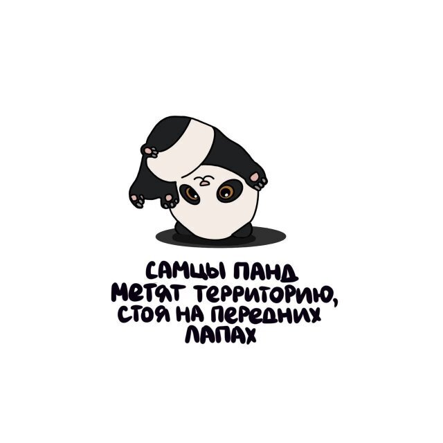 3) Интересные факты о разном