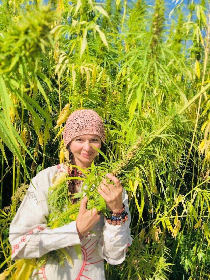 Глобальный заговор против конопли