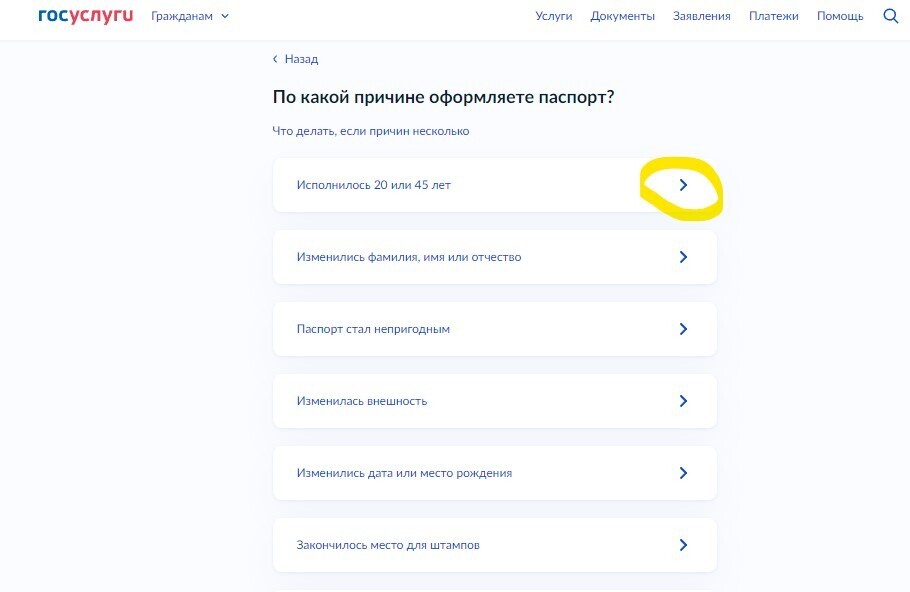 Как поменять паспорт: Замена паспорта в 20 или 45 лет через Госуслуги - пошаговая инструкция по заполнению