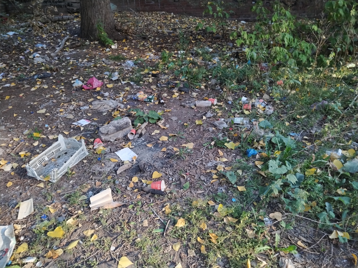 В городах скопился мусор и в воздухе витает дым